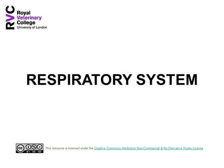 RESPIRATORY SYSTEM This resource is licensed under the Creative Commons Attribution Non-Commercial & No Derivative Works LicenseCreative Commons Attribution.