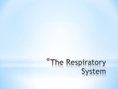 The lungs are in the upper part of the body called the thorax.