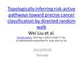 Topologically inferring risk-active pathways toward precise cancer classification by directed random walk Topologically inferring risk-active pathways.