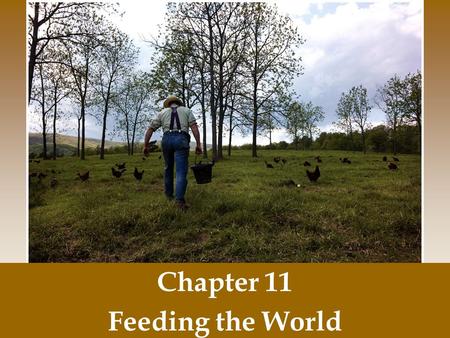 Chapter 11 Feeding the World. Global Undernutrition.