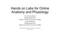 Hands on Labs for Online Anatomy and Physiology Dr. Christine Ahmed Biology Department Western Iowa Tech Community College Susan McDonald Biology Department.