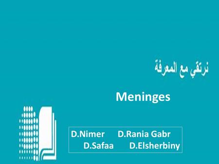 Meninges D.Nimer D.Rania Gabr D.Safaa D.Elsherbiny.