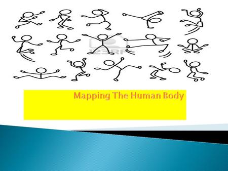  Anatomical Position  Location Terminology  Anterior/Posterior  Medial/Lateral  Superior/Inferior and Proximal/Distal  Superficial/Deep  Planes.