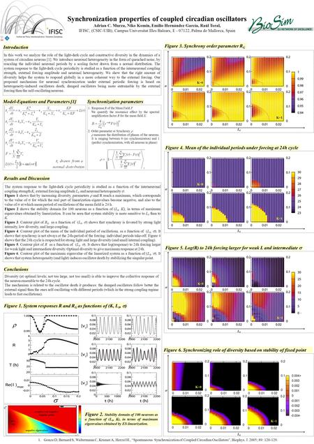 Introduction In this work we analyze the role of the light-dark cycle and constructive diversity in the dynamics of a system of circadian neurons [1].