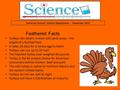 Somerset School’s Science Department – November 2015 Feathered Facts Turkeys can detect motion 100 yards away – the length of a football field It takes.