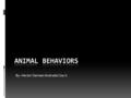 By: Hector Damian Andrade Cea Jr.. Animal Behaviors Adaptation -When an organism gets used to its environment Examples: -A person from Arizona going to.