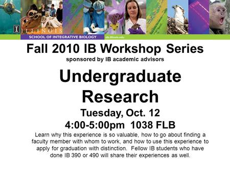 Fall 2010 IB Workshop Series sponsored by IB academic advisors Undergraduate Research Tuesday, Oct. 12 4:00-5:00pm 1038 FLB Learn why this experience is.