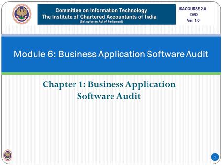 Module 6: Business Application Software Audit Chapter 1: Business Application Software Audit 1.