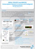 Introduction The stem cell derived transcription factors SOX4, POU2F2 and BACH2 are known to be important in B-cell differentiation and B-cell malignancies.