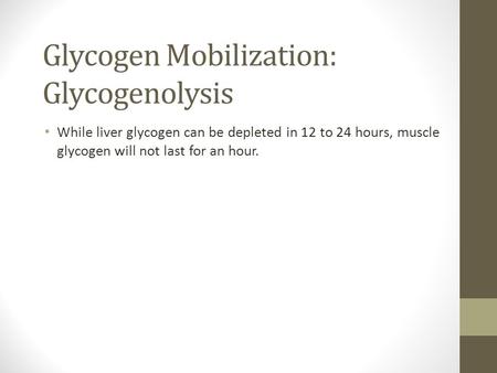 Glycogen Mobilization: Glycogenolysis