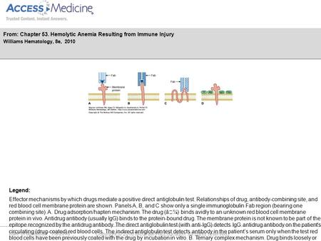 Date of download: 7/8/2016 Copyright © 2016 McGraw-Hill Education. All rights reserved. Effector mechanisms by which drugs mediate a positive direct antiglobulin.