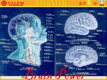 Brain Power. Look at the following numbers for about one minute and then write down as many as you can remember. meeting, student, school, homework, study,