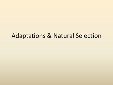 Adaptations & Natural Selection. NICHE A habitat supplying factors necessary for existence of an organism and its ecological role in regard to food consumption.