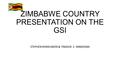 ZIMBABWE COUNTRY PRESENTATION ON THE GSI STEPHEN NYARUWATA & TINASHE. E. MWADIWA.