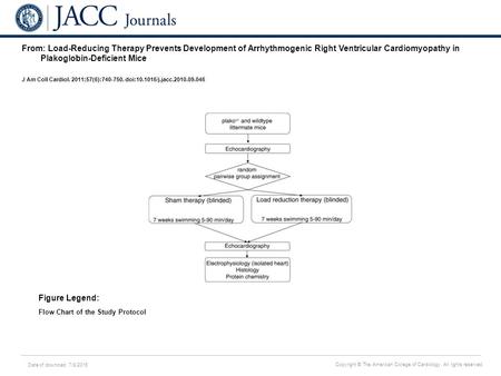 Date of download: 7/8/2016 Copyright © The American College of Cardiology. All rights reserved. From: Load-Reducing Therapy Prevents Development of Arrhythmogenic.