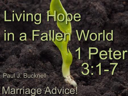 1 Peter Living Hope in a Fallen World 3:1-7 Paul J. Bucknell Marriage Advice!