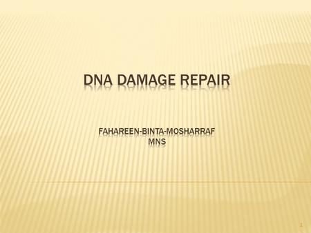 1. 1.Both prokaryotes and eukaryotes have enzyme-based DNA repair systems that prevent mutations and even death from DNA damage. 2.Repair systems are.