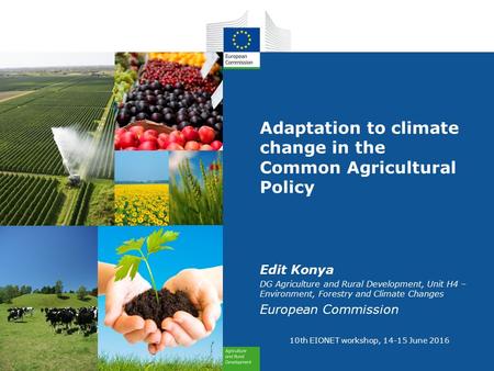 Adaptation to climate change in the Common Agricultural Policy