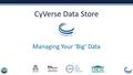 CyVerse Data Store Managing Your ‘Big’ Data. Welcome to the Data Store Manage and share your data across all CyVerse platforms.