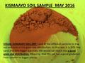 VISUAL KISMAAYO SOIL: after washing the soil, you can see that all components are very small. 50% of the soil is actually fine sand and the rest are smaller.