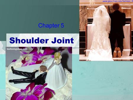 Shoulder Joint Chapter 5. Humerus Radial Fossa Coronoid Fossa Olecranon Fossa Trochlea Capitulum Medial Epicondyle Supracondylar Ridge Radial Groove Deltoid.