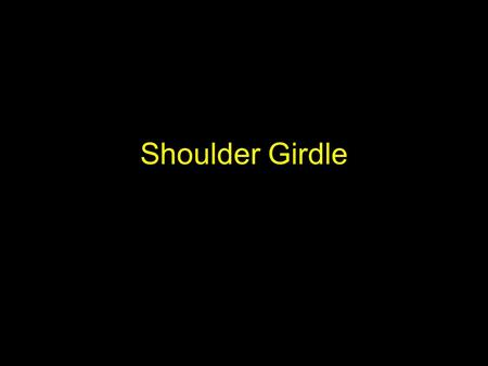 Shoulder Girdle. Shoulder girdle(bone) 1.Scapular 2.Clavicle(cut) 3.Humerus 4.Radius(cut) 5.Ulnaris(cut)