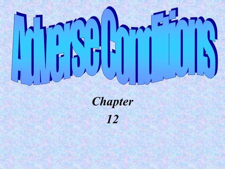 Chapter 12  Driving with a Sun Glare  Driving in Dawn or Dusk  Driving in Wind  What to do if you are in a Skid..  Driving in Rain  What to do.