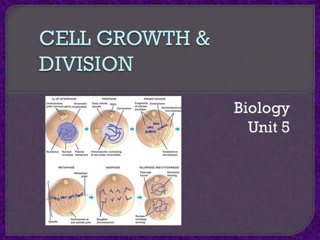 Biology Unit 5.  DNA “overload” Cells require a certain amount of DNA (the instructions for protein synthesis and other processes)  Exchange of materials.