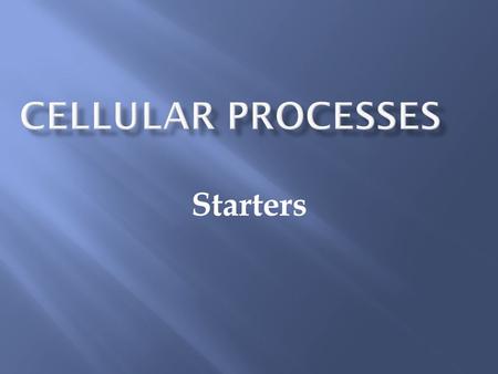 Starters. 1.Which cell organelle is correctly paired with its function? A. vacuole—protein synthesis B. mitochondrion—photosynthesis C. chloroplast—cellular.