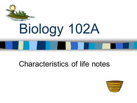 Biology 102A Characteristics of life notes. Warm Up # ___ A group of 100 Hispanic women age 20 with curly hair, who used Pert on a daily basis, enrolled.