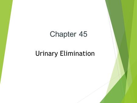 Chapter 45 Urinary Elimination