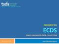 Simple Solution. Brighter Futures. DOCUMENT #11 ECDS EARLY CHILDHOOD DATA COLLECTION March 30, 2016 Texas Education Agency.