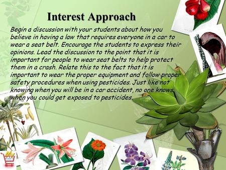 Interest Approach Begin a discussion with your students about how you believe in having a law that requires everyone in a car to wear a seat belt. Encourage.