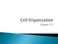 Chapter 3.2.  Remember: These are the bigger and more organized cells that make you what you are.  They are unique because they have a nucleus and organelles.