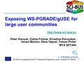 Exposing WS-PGRADE/gUSE for large user communities  Peter Kacsuk, Zoltan Farkas, Krisztian Karoczkai, Istvan Marton, Akos Hajnal,