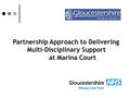 Partnership Approach to Delivering Multi-Disciplinary Support at Marina Court.