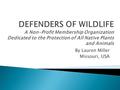 By Lauren Miller Missouri, USA.  Founded in 1947 to protect wildlife and wild lands  Leading force in the protection of native plants and animals and.