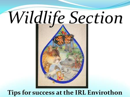 Tips for success at the IRL Envirothon Wildlife Section.