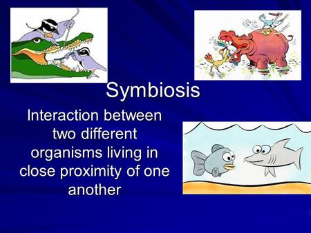 Symbiosis Interaction between two different organisms living in close proximity of one another.