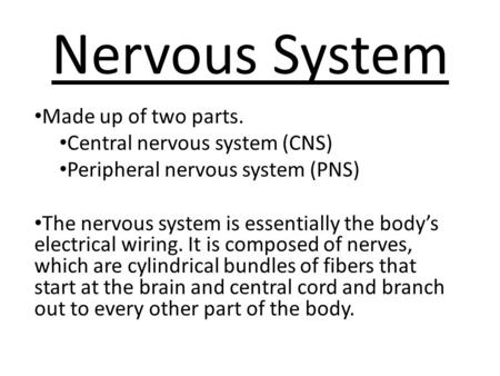 Nervous System Made up of two parts. Central nervous system (CNS) Peripheral nervous system (PNS) The nervous system is essentially the body’s electrical.