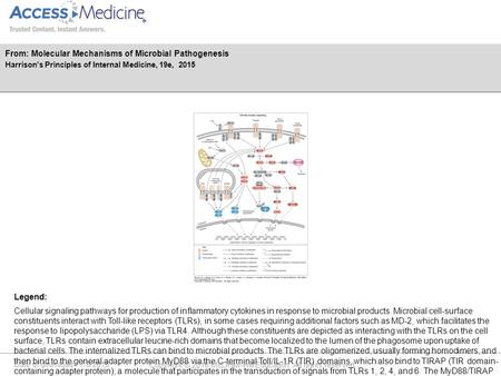 Date of download: 7/8/2016 Copyright © 2016 McGraw-Hill Education. All rights reserved. Cellular signaling pathways for production of inflammatory cytokines.