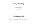 Group meeting Mahavir Singh 01/19/2010 Tetrahymena p65 And Shq1, a H/ACA related protein 1.