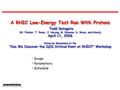 A RHIC Low-Energy Test Run With Protons Todd Satogata (W. Fischer, T. Roser, J. DeLong, M. Brennan, D. Bruno, and others) April 11, 2006 Driven by discussions.