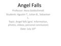 Professor: Nora Goldschmidt Students: Agustin T., Julian B., Sebastian L. Topic: Angel falls (gral. Information, photos, videos, personal conclusion) Date: