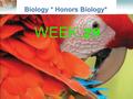 Lesson Overview Lesson Overview What is Ecology? Biology * Honors Biology* WEEK 29.