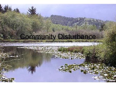 Community Disturbance. Nonequilibrium Model Early ecologists thought of nature as being in equilibrium. Actually, environments are constantly changing.