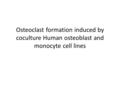 Osteoclast formation induced by coculture Human osteoblast and monocyte cell lines.