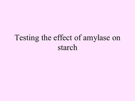 Testing the effect of amylase on starch Aims To understand that amylase is an enzyme To understand that amylase breaks down starch into sugar To complete.