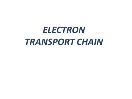 ELECTRON TRANSPORT CHAIN. An electron transport chain (ETC) couples electron transfer between an electron donor (such as NADH ) and an electron acceptor.