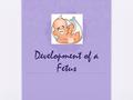 Development of a Fetus. Babies, Babies, Babies!